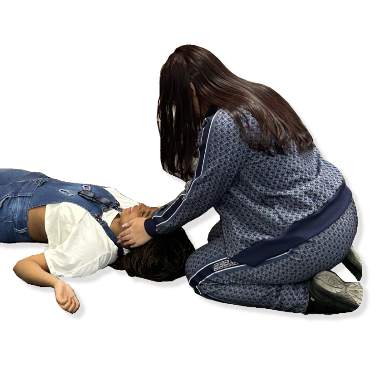 Property 1=Frame 532