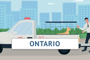 Animal control bylaw officer training